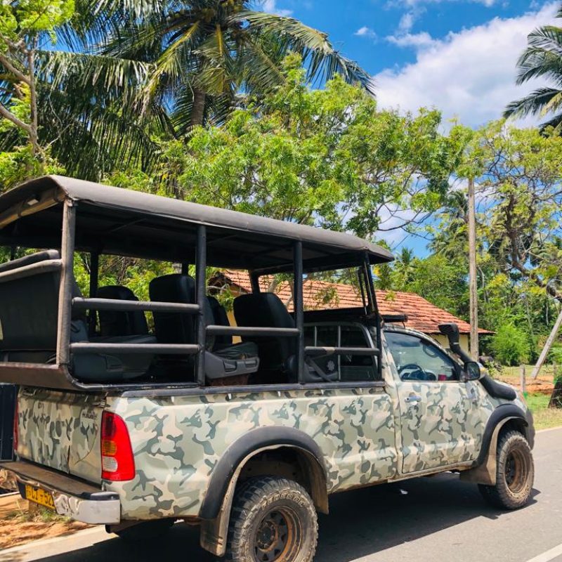 safari jeep yala national park